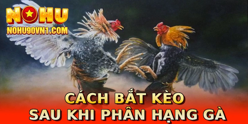Cách bắt kèo sau khi phân hạng gà