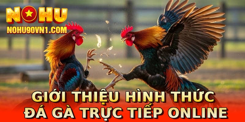 Giới thiệu hình thức đá gà trực tiếp online