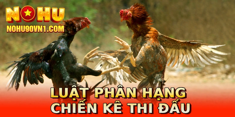 Luật phân hạng chiến kê thi đấu