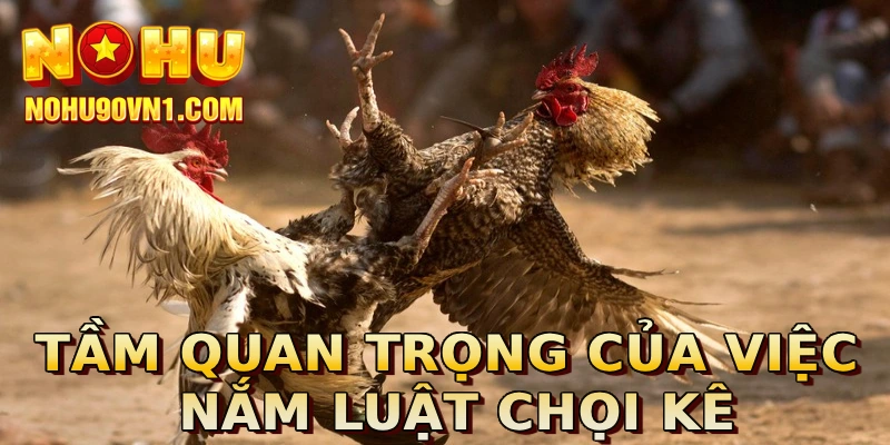 Tầm quan trọng của việc nắm luật chọi kê